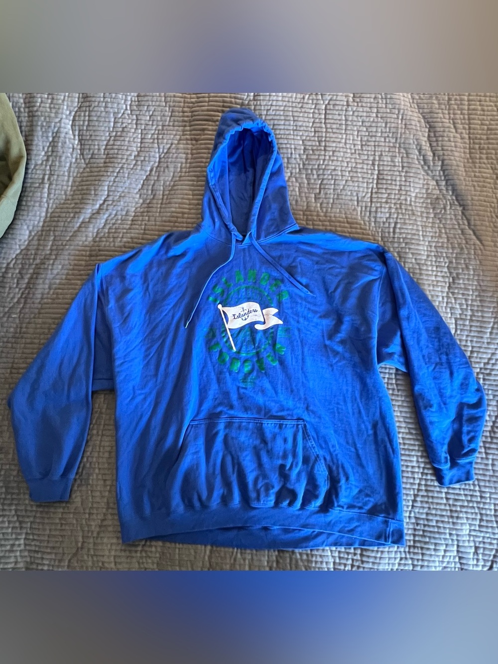 Gildan Royal Blue Hoodie with White & Green Graphic